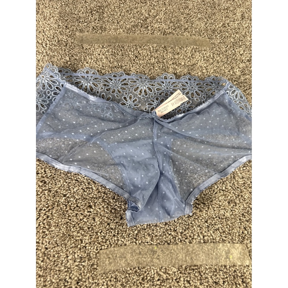 Victorias Secret Blue Swiss Dot Mesh Floral Lace Cheeky Panty XL